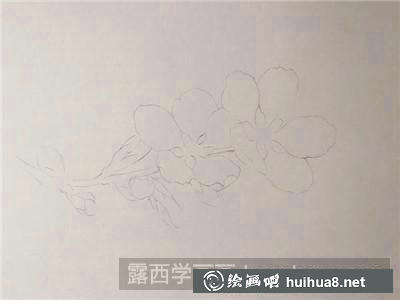 桃花彩鉛