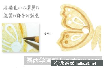 怎么畫蝴蝶紐扣 怎么畫蝴蝶紐扣