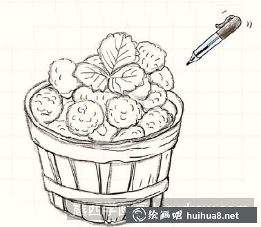 怎么畫覆盆子