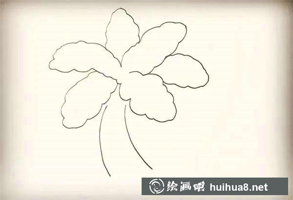 椰子樹簡筆畫教程 椰子樹簡筆畫教程