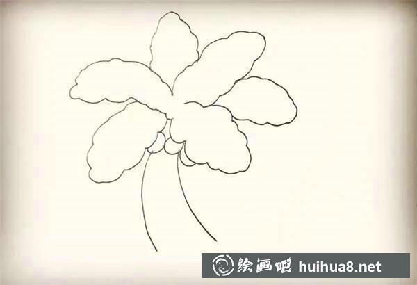 椰子樹簡筆畫教程 椰子樹簡筆畫教程
