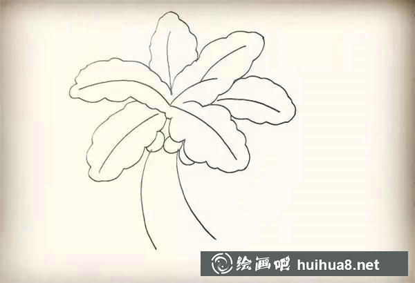 椰子樹簡筆畫教程 椰子樹簡筆畫教程
