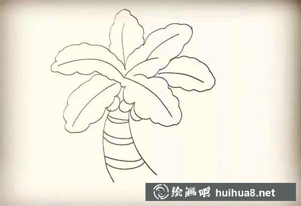 椰子樹簡筆畫教程 椰子樹簡筆畫教程