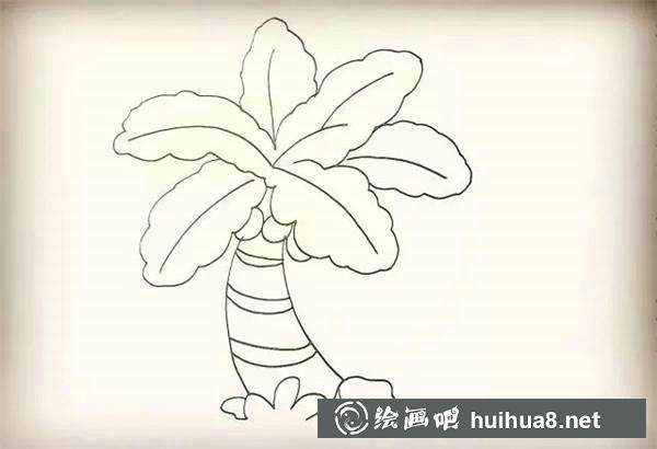 椰子樹簡筆畫教程 椰子樹簡筆畫教程