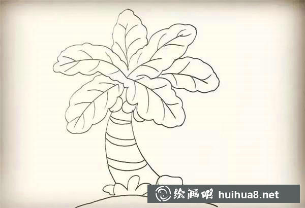 椰子樹簡筆畫教程 椰子樹簡筆畫教程