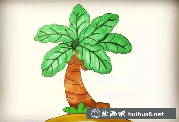 椰子樹簡筆畫教程 椰子樹簡筆畫教程