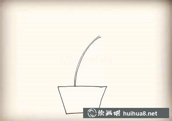 野百合簡筆畫教程