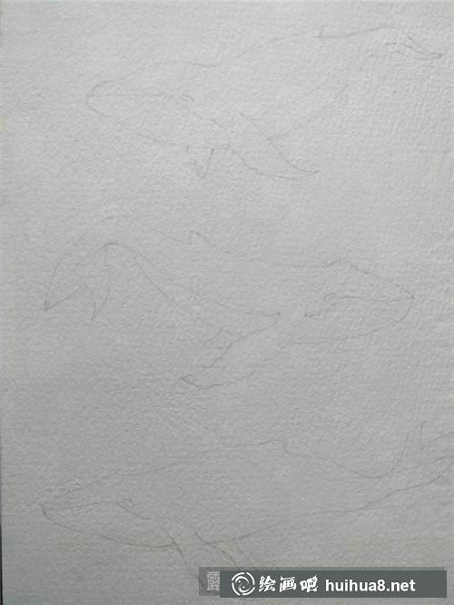 鯨魚素描