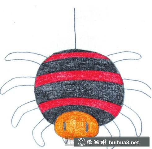 蜘蛛的畫(huà)法