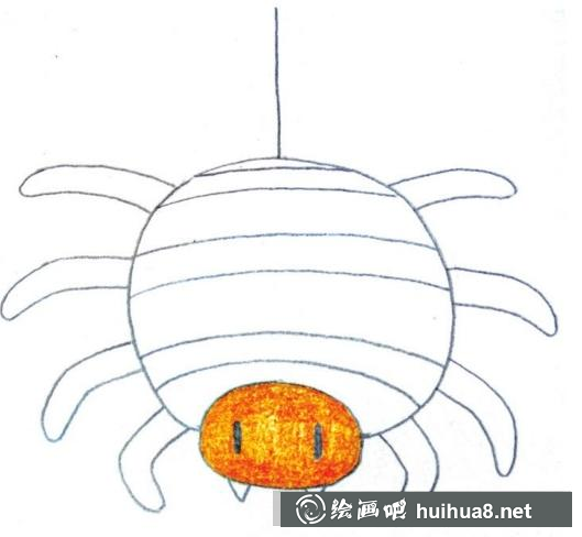 蜘蛛的畫(huà)法
