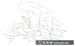 彩鉛畫雞油菌教程