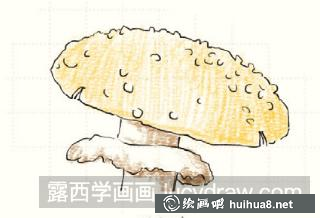 毒蠅傘兒童畫