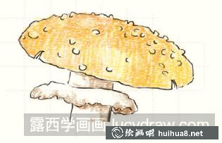 毒蠅傘兒童畫