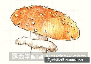 毒蠅傘兒童畫