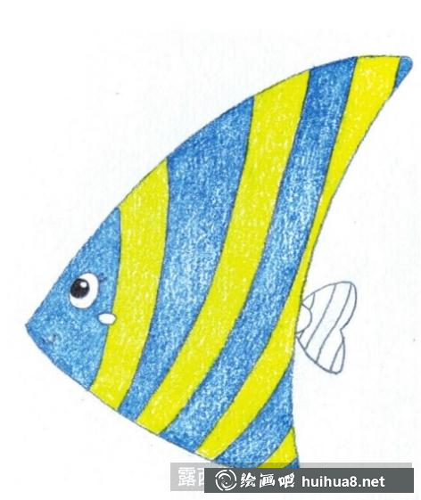 兒童畫(huà)熱帶魚(yú)