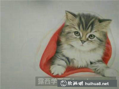 動(dòng)物彩鉛 動(dòng)物彩鉛