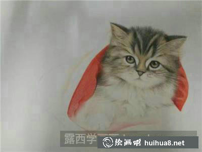 動(dòng)物彩鉛 動(dòng)物彩鉛