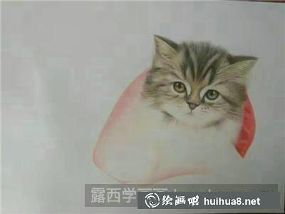 動(dòng)物彩鉛 動(dòng)物彩鉛