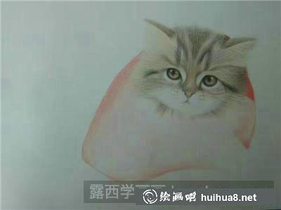動(dòng)物彩鉛 動(dòng)物彩鉛