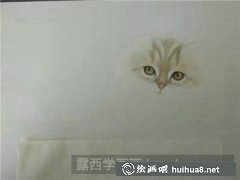 彩鉛貓畫教程：貓咪彩鉛繪法