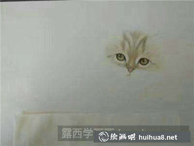 動(dòng)物彩鉛 動(dòng)物彩鉛