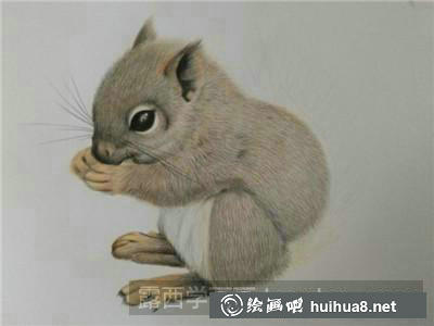動物彩鉛