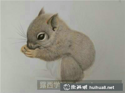 動物彩鉛