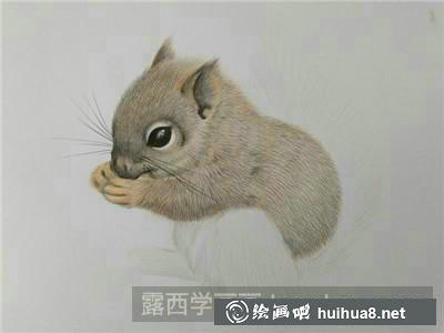 動物彩鉛