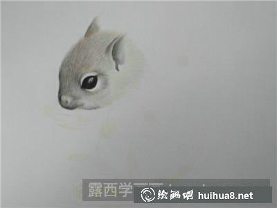動物彩鉛