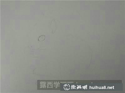 動物彩鉛