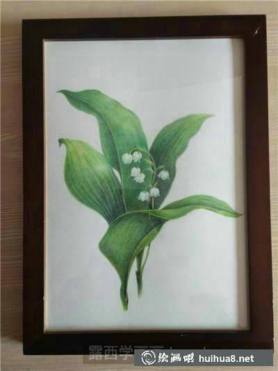 植物彩鉛