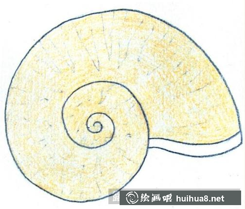 兒童畫(huà)小海螺