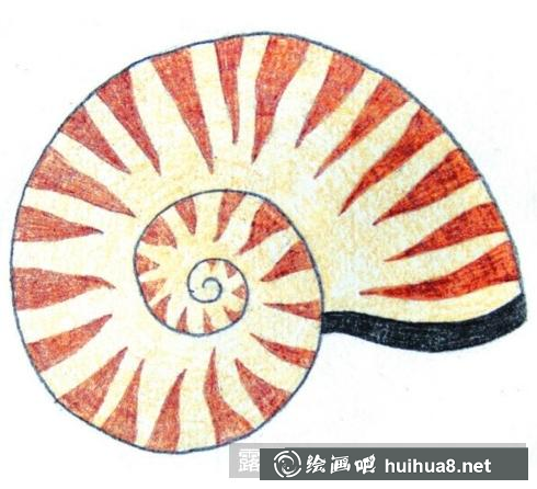 兒童畫(huà)小海螺