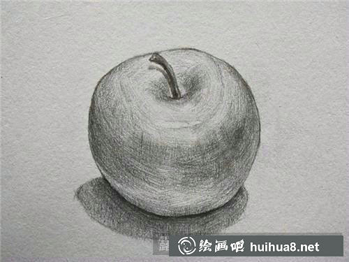 蘋果素描