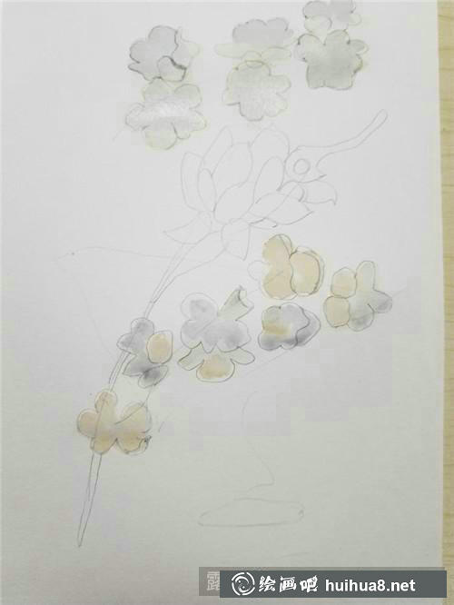 梨花水彩畫