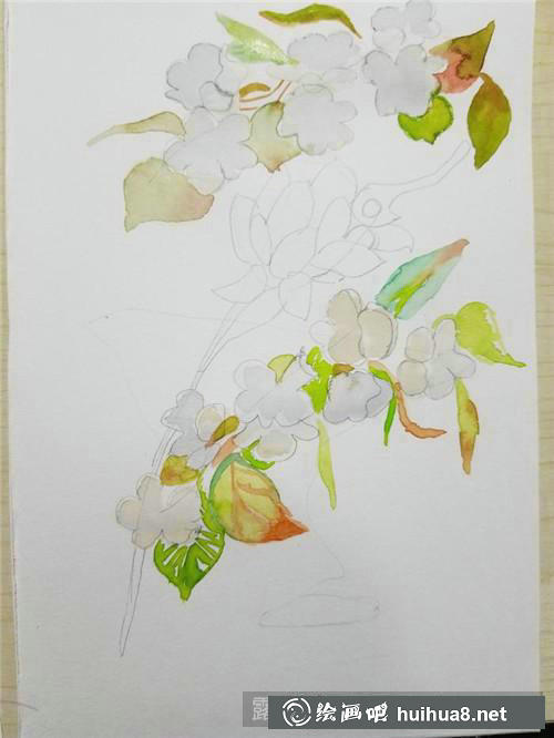 梨花水彩畫