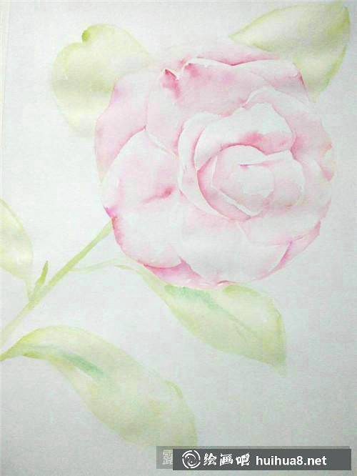 山茶花開(kāi)水彩畫(huà)