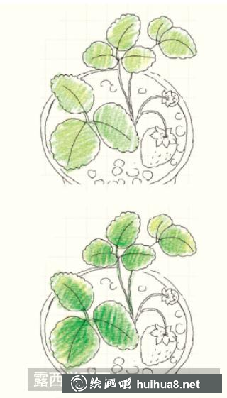 怎么畫(huà)草莓盆栽