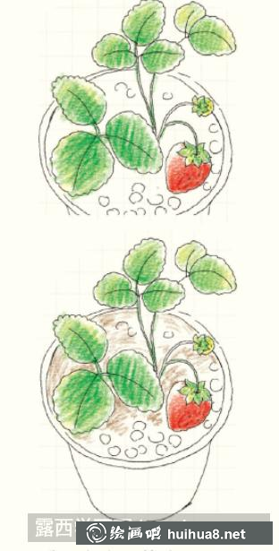 怎么畫(huà)草莓盆栽