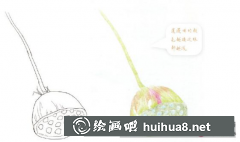彩鉛繪蓮蓬步驟指南