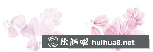 怎么畫波斯菊