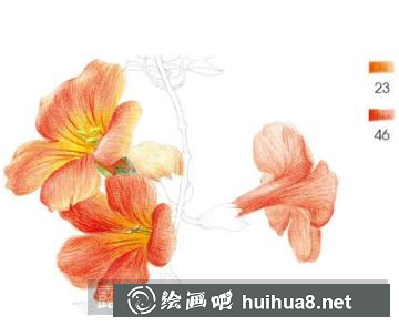 怎么畫凌霄