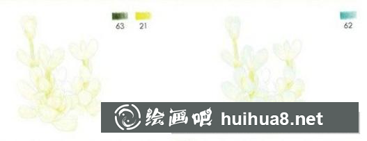 怎么畫鹿角海棠