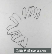 速寫永生花繪制技巧