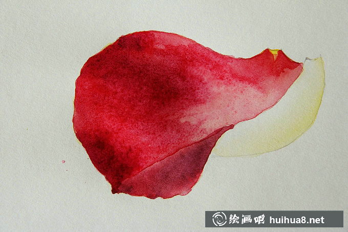 如何用水彩畫玫瑰花花瓣步驟教程
