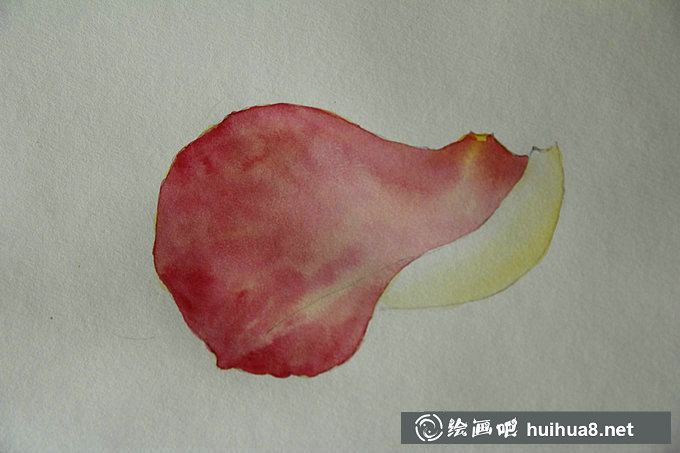 如何用水彩畫玫瑰花花瓣步驟教程