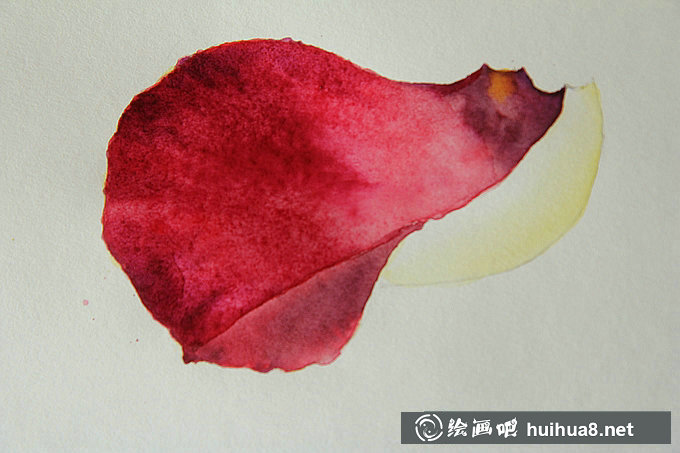 如何用水彩畫玫瑰花花瓣步驟教程