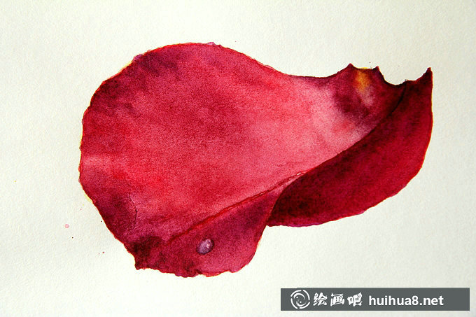 如何用水彩畫玫瑰花花瓣步驟教程