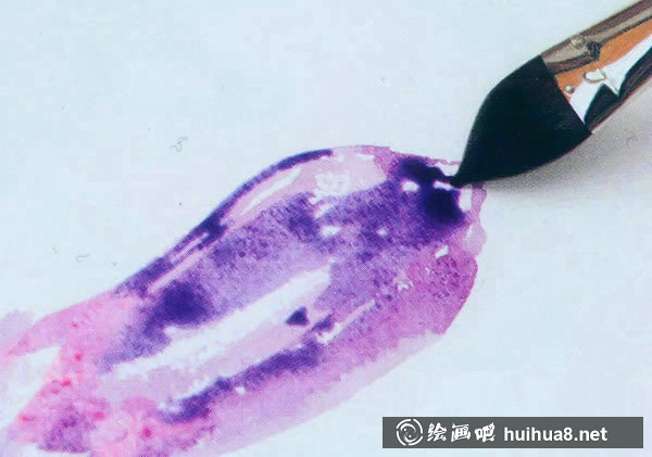 水彩畫(huà)入門(mén)教程：寫(xiě)生茄子的步驟