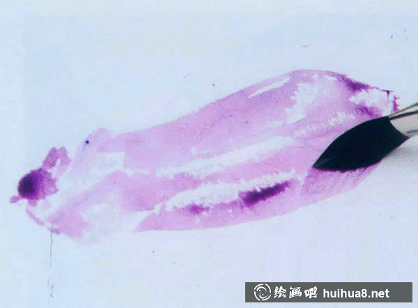 水彩畫(huà)入門(mén)教程：寫(xiě)生茄子的步驟